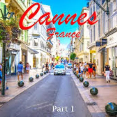 Agreable 2 Pieces Terrasse, Piscine, Clemenceau A1b235 칸느